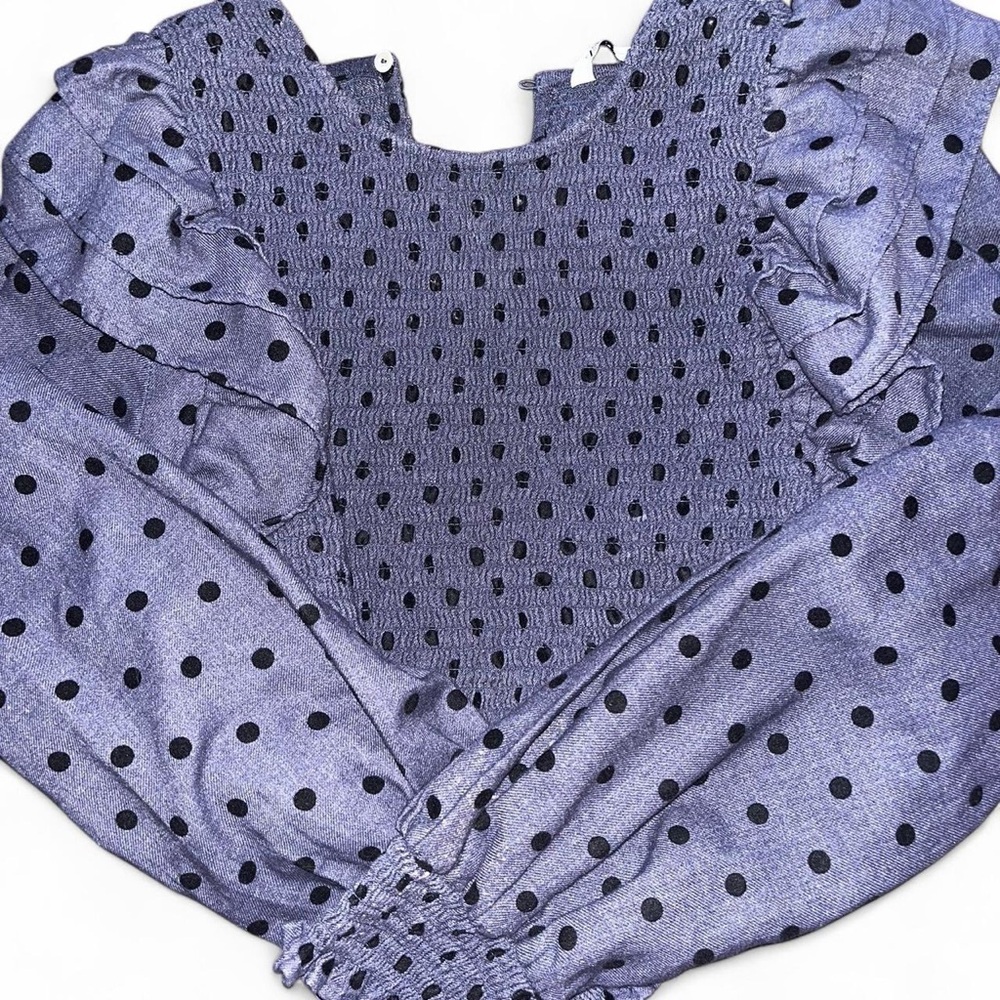 Zara Blue Long Sleeve Ruffled Blouse with Bib Collar